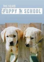 Watch Dog Squad: Puppy School Zmovies