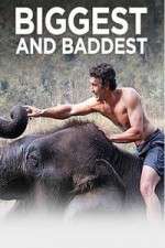 Watch Biggest and Baddest Zmovies