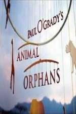 Watch Paul O'Grady's Animal Orphans Zmovies