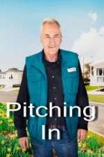 Watch Pitching In Zmovies