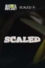 Watch Scaled Zmovies