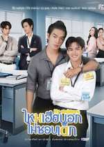 Watch My Stubborn Zmovies