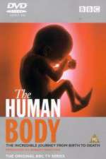 Watch The Human Body Zmovies