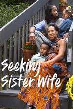Watch Seeking Sister Wife Zmovies