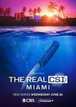 Watch The Real CSI: Miami Zmovies