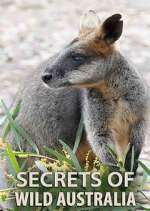 Watch Secrets of Wild Australia Zmovies