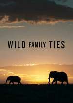 Watch Wild Family Ties Zmovies