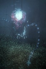 Watch Into the Universe with Stephen Hawking Zmovies