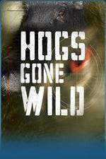 Watch Hogs Gone Wild Zmovies
