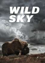 Watch Wild Sky Zmovies