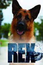 Watch Hudson & Rex Zmovies