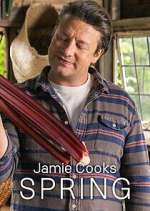 Watch Jamie Cooks Spring Zmovies