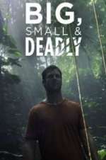 Watch Big, Small & Deadly Zmovies