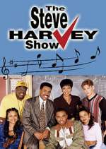 Watch The Steve Harvey Show Zmovies