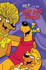 Watch Help!... It's the Hair Bear Bunch Zmovies