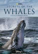 Watch Secrets of the Whales Zmovies