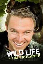 Watch The Wild Life of Tim Faulkner Zmovies