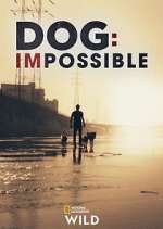 Watch Dog: Impossible Zmovies