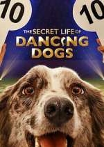 Watch The Secret Life of Dancing Dogs Zmovies