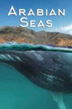 Watch Arabian Seas Zmovies