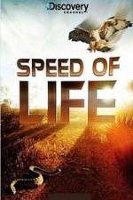 Watch Discovery Channel Speed Of Life Zmovies