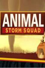 Watch Animal Storm Squad Zmovies