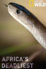 Watch Africas Deadliest Zmovies