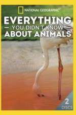 Watch Everything You Didnt Know About Animals Zmovies