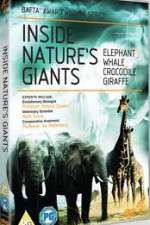 Watch Inside Nature's Giants Zmovies