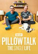 Watch 90 Day Pillow Talk: The Single Life Zmovies