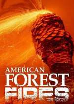 Watch American Forest Fires: The Untold Story Zmovies