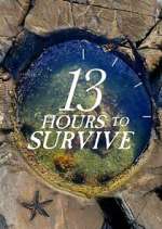 Watch 13 Hours to Survive Zmovies