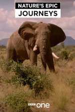 Watch Nature's Epic Journeys Zmovies