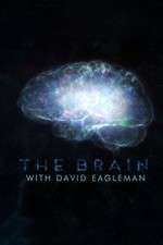 Watch The Brain with Dr David Eagleman Zmovies