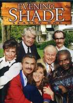 Watch Evening Shade Zmovies