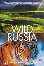 Watch Wild Russia Zmovies