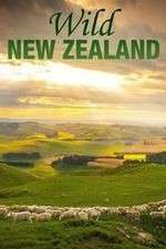 Watch Wild New Zealand Zmovies